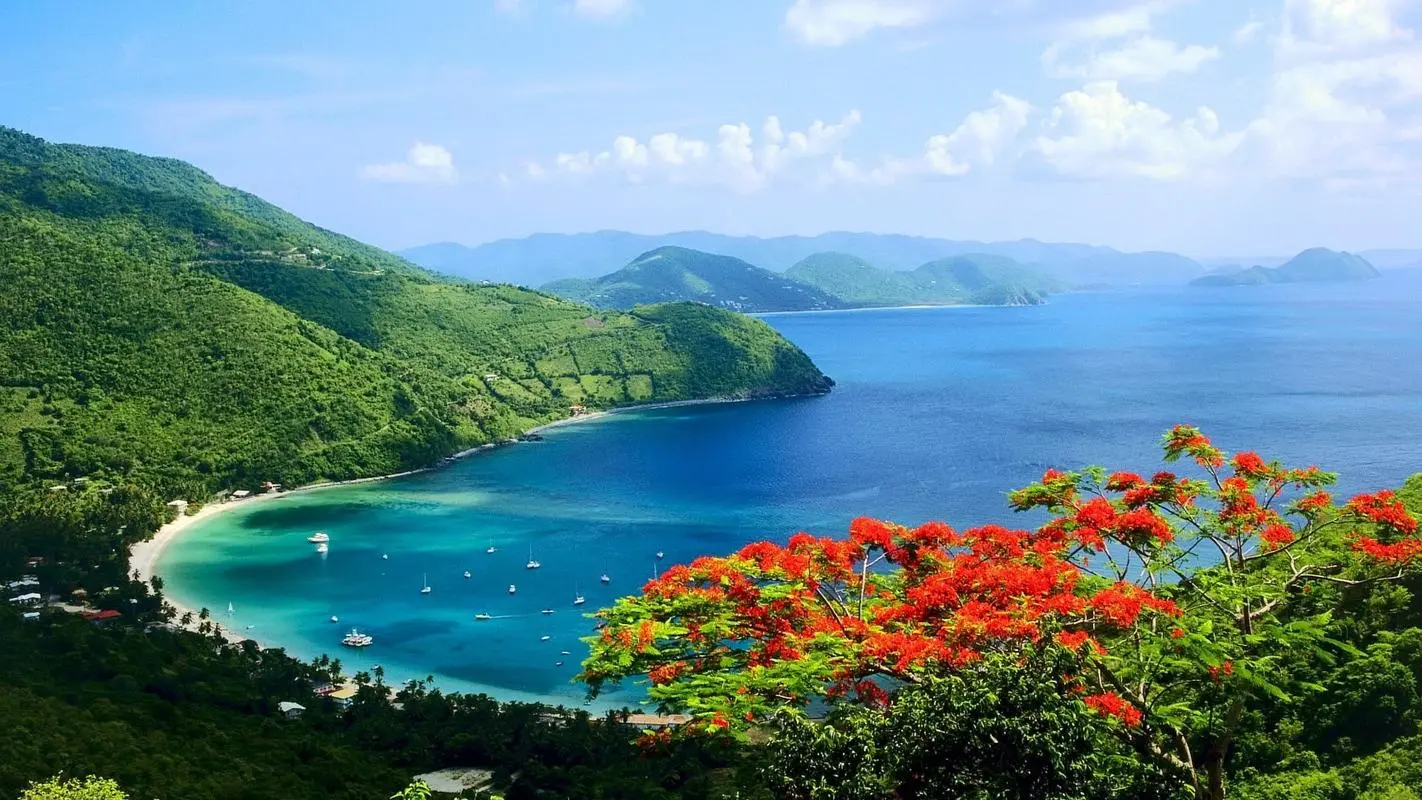 智能高标准自动化
